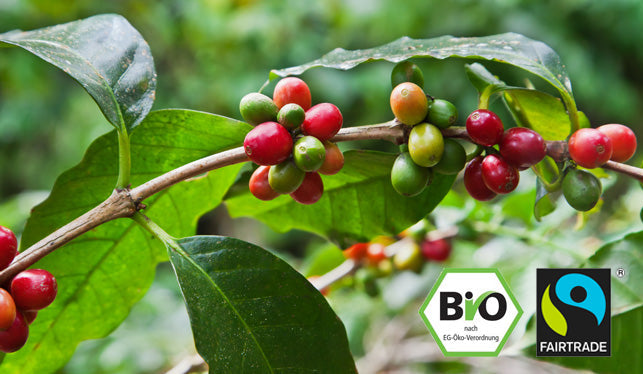 Zertifizierter Kaffee